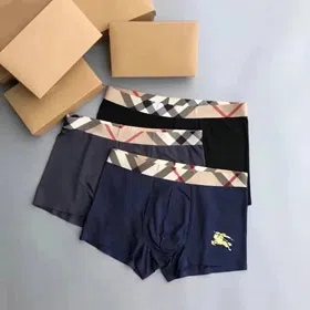 Burberry boxer briefs-4931  